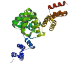 Tetratricopeptide Repeat Domain Protein 17 (TTC17)