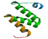 Tetratricopeptide Repeat Domain Protein 18 (TTC18)