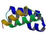 Tetratricopeptide Repeat Domain Protein 21A (TTC21A)