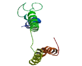 Tetratricopeptide Repeat Domain Protein 22 (TTC22)