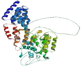 Tetratricopeptide Repeat Domain Protein 26 (TTC26)