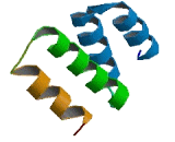 Tetratricopeptide Repeat Domain Protein 27 (TTC27)