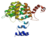 Tetratricopeptide Repeat Domain Protein 28 (TTC28)