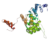 Tetratricopeptide Repeat Domain Protein 29 (TTC29)