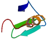 Tetratricopeptide Repeat Domain Protein 3 (TTC3)