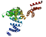 Tetratricopeptide Repeat Domain Protein 30A (TTC30A)