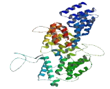 Tetratricopeptide Repeat Domain Protein 34 (TTC34)