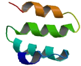 Tetratricopeptide Repeat Domain Protein 37 (TTC37)