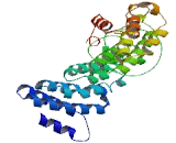 Tetratricopeptide Repeat Domain Protein 39A (TTC39A)