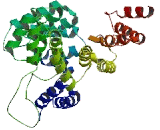 Tetratricopeptide Repeat Domain Protein 39C (TTC39C)