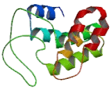 Tetratricopeptide Repeat Domain Protein 4 (TTC4)