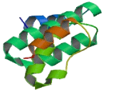 Tetratricopeptide Repeat Domain Protein 5 (TTC5)