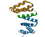 Tetratricopeptide Repeat Domain Protein 7A (TTC7A)