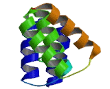 Tetratricopeptide Repeat Domain Protein 8 (TTC8)