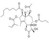 Thapsigargin (TPG)