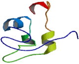 Thiamine Transporter Protein 1 (THTR1)