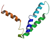 Thiamine Transporter Protein 2 (THTR2)