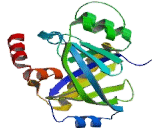 Thiamine Triphosphatase (THTPA)