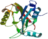 Thiopurine Methyltransferase (TPMT)