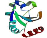 Thioredoxin 2, Mitochondrial (TXN2)