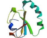 Thioredoxin Domain Containing Protein 11 (TXNDC11)