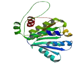 Thioredoxin Domain Containing Protein 15 (TXNDC15)