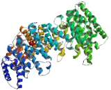 Thioredoxin Domain Containing Protein 16 (TXNDC16)