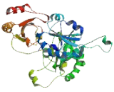 Thioredoxin Domain Containing Protein 5 (TXNDC5)