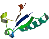 Thioredoxin Domain Containing Protein 6 (TXNDC6)