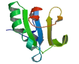 Thioredoxin Related Transmembrane Protein 3 (TMX3)