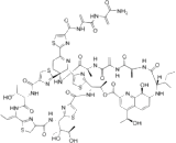 Thiostrepton (Th)