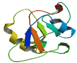 Thiosulfate Sulfurtransferase Like Domain Containing Protein 1 (TSTD1)