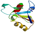 Thiosulfate Sulfurtransferase Like Domain Containing Protein 2 (TSTD2)