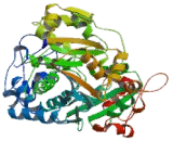 Threonine Synthase Like Protein 1 (THNSL1)