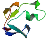 Threonyl tRNA Synthetase 2, Mitochondrial (TARS2)