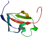 Threonyl tRNA Synthetase Like Protein 2 (TARSL2)