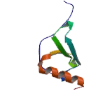 Chemokine (C-X-C motif) ligand 7 ( CXCL7)