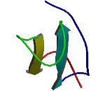 Thrombospondin Type I Domain Containing Protein 1 (THSD1)