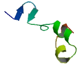 Thrombospondin Type I Domain Containing Protein 4 (THSD4)