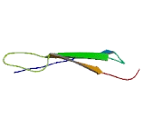 Thrombospondin Type I Domain Containing Protein 6 (THSD6)