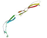 Thrombospondin Type I Domain Containing Protein 7A (THSD7A)