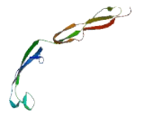 Thrombospondin Type I Domain Containing Protein 7B (THSD7B)