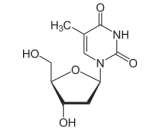 Thymidine (TM)