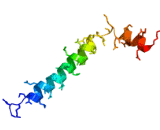 Thymosin (TMS)