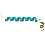 Thymosin Beta 15A (TMSb15A)