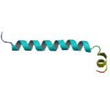 Thymosin Beta 15B (TMSb15B)