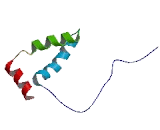 Thymus High Mobility Group Box Protein 4 (TOX4)