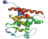 Thyroid Hormone Receptor Alpha (THRa)