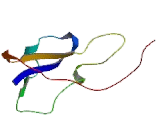 Thyroid Hormone Receptor Associated Protein 2 (THRAP2)