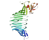 Thyroid Hormone Receptor Associated Protein 3 (THRAP3)